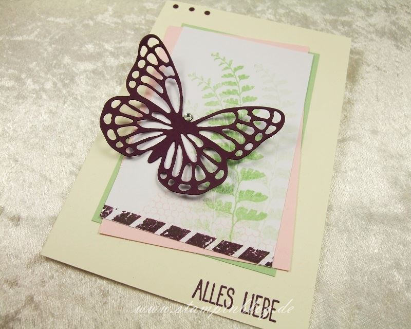 Muttertag-Geburtstag-Schmetterlingsgruss-Brombeermousse-Stampin-3
