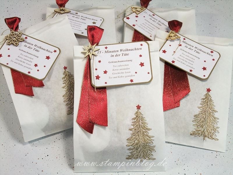 Verpackung-Weihnachten-15- Minuten-Tüte-Tannenbaum-Savanne-Chili-Stampinblog-Stampin